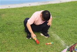 Image_8