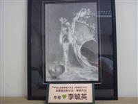 Image_1