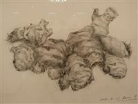 Image_7