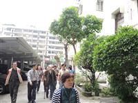 Image_6