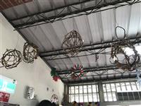 Image_9