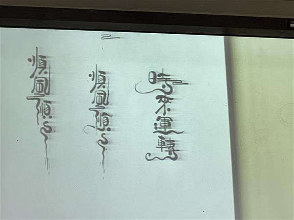 Image_8