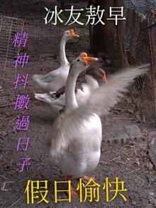 Image_0